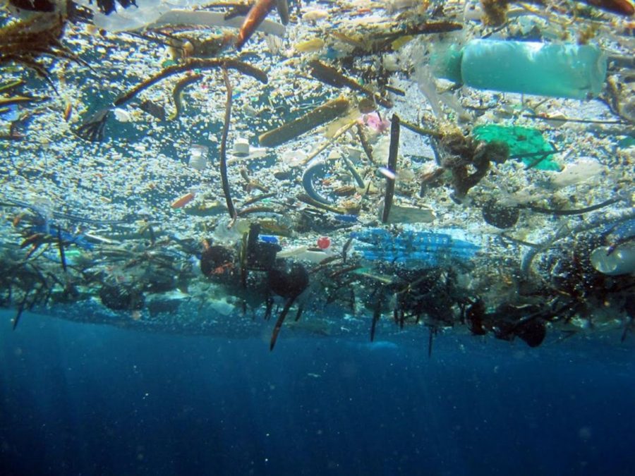 Straws+In+the+Ocean