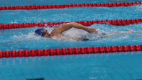 The History of Swimming