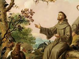 Embracing Wildlife: The Timeless Legacy of St. Francis of Assisi