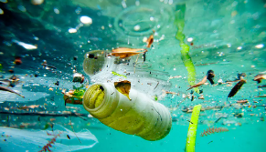 Pollution floating in the ocean.