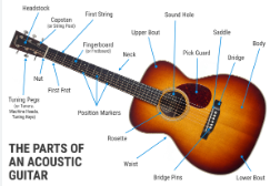 The parts of an acoustic guitar.